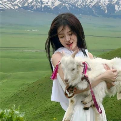 致敬幽默大师戴夫·查普尔专场