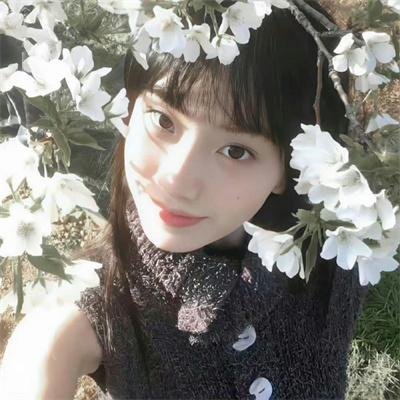 裴先生的野玫瑰